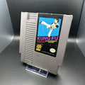Kung Fu (Nintendo Entertainment System, 1985)